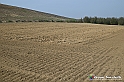 VBS_7591 - Andare lontano, oltre i campi da arare... e ancora più in là